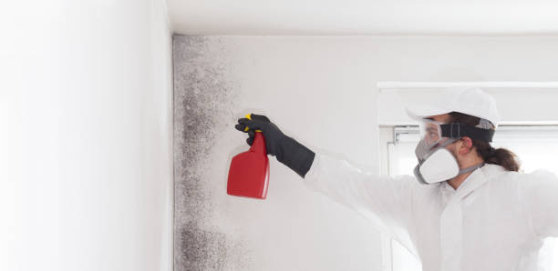Water Damage Restoration in Fairfield Harbour, NC